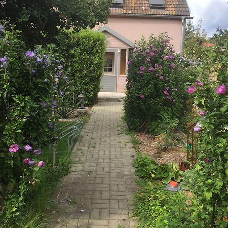 Ferienhaus-Geiserich Blankenburg  Exterior photo
